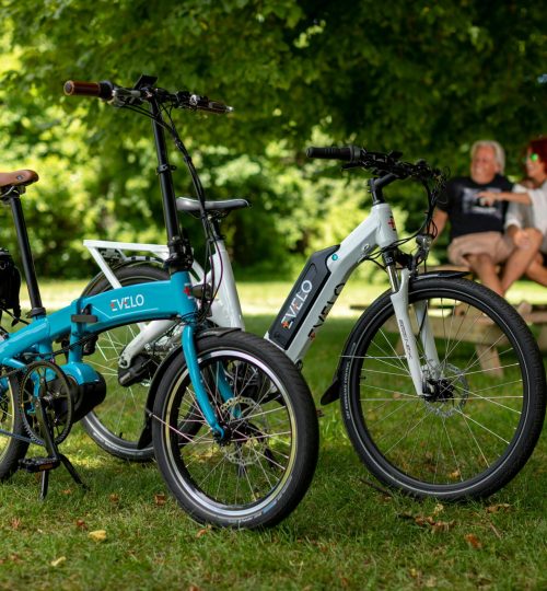 pexels-team-evelo-413077137-15020566